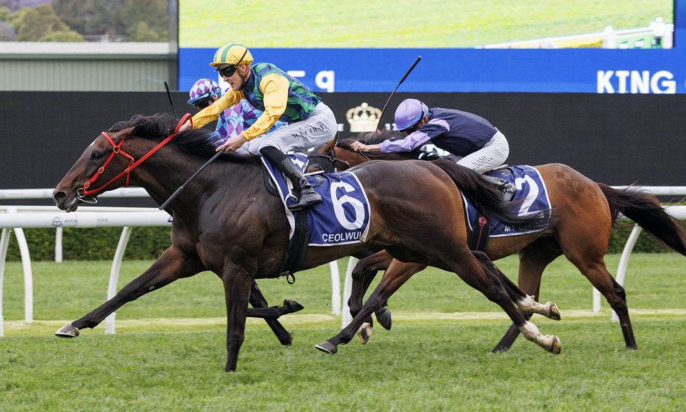 为文化软实 为文化软实